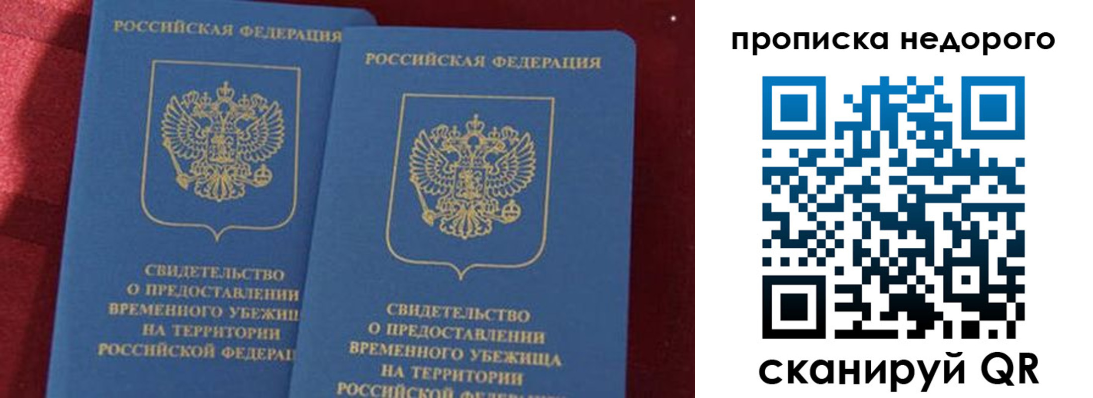 прописка гарантия в Козельске
